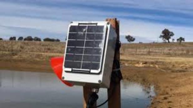 Solar-Telefon für Frösche: Wer quakt wo