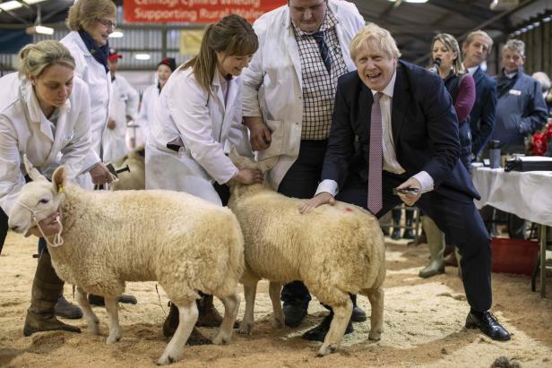 Wie im Fasching: Boris Johnson war im Wahlkampf nichts zu blöd