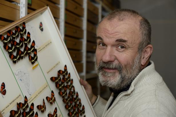 Insektenforscher: Fluchtlichtanlagen sind nicht das große Problem