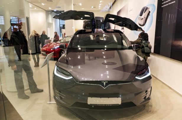Brandenburg: E-Autohersteller Tesla zieht es in den Wald