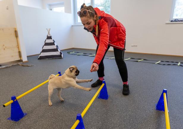 Winterurlaub mit Hund am Arlberg: Entlang der Pfotenspuren