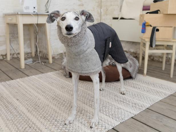 Wintermode für Hunde: Ein Mantel von der Wiener Maßschneiderin