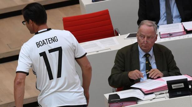 AfD-Politikerin: "Nächstes Mal wieder mit deutscher Nationalmannschaft?"