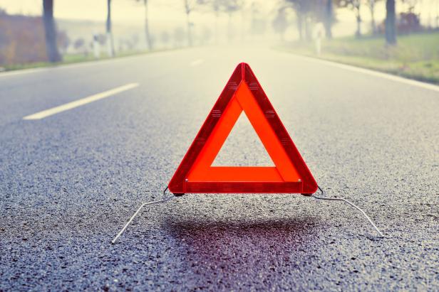 Vorsicht Marderbiss! Wie Sie Ihr Auto vor Marderschäden schützen