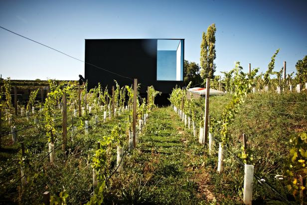Wein trifft Design: Ultramoderne Architektur zwischen Langenlois und Napa Valley