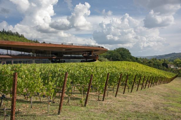 Wein trifft Design: Ultramoderne Architektur zwischen Langenlois und Napa Valley