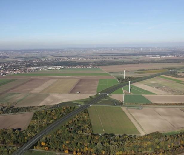 Marchfeld-Schnellstraße S8: Der Triel als Sorgenkind der Straßenbauer