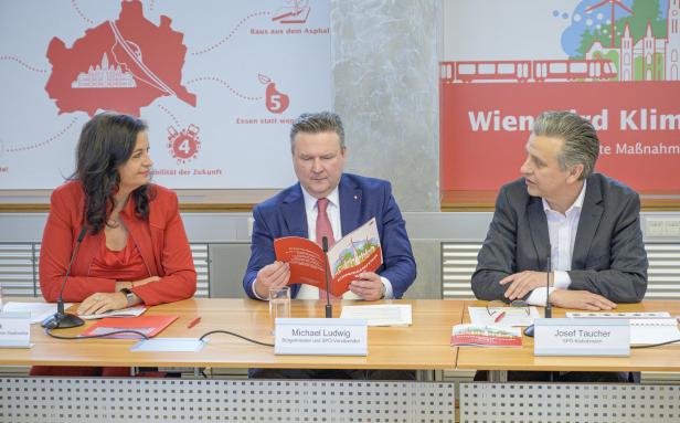 Die Wiener SPÖ will weiter Rot-Grün, "aber lieber ohne Hebein"