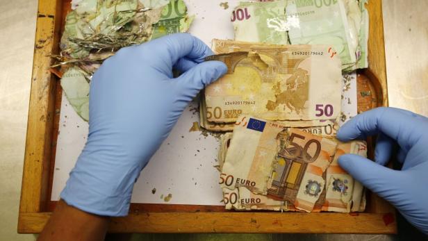 Hände in blauen Handschuhen inspizieren beschädigte 50- und 100-Euro-Scheine auf einem Tablett.