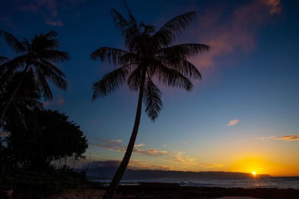 Naturwunder Hawaii: Wo Strand auf Schnee, Lava und Regenwald trifft