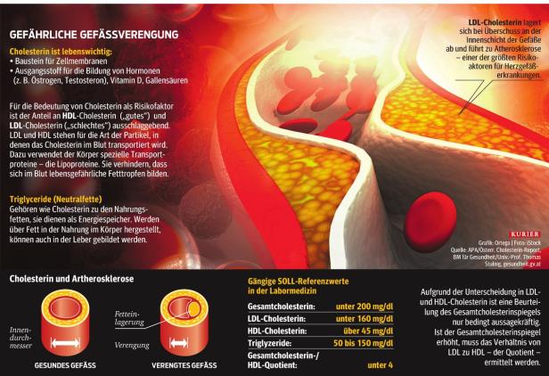 Cholesterinsenker reduzieren Krebsrisiko