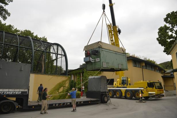 Ein Kran hebt einen Container auf einen Tieflader.