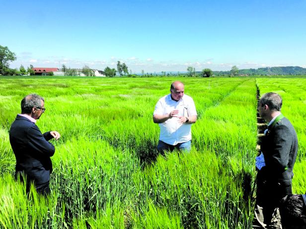 Klimawandel verändert die Bierproduktion