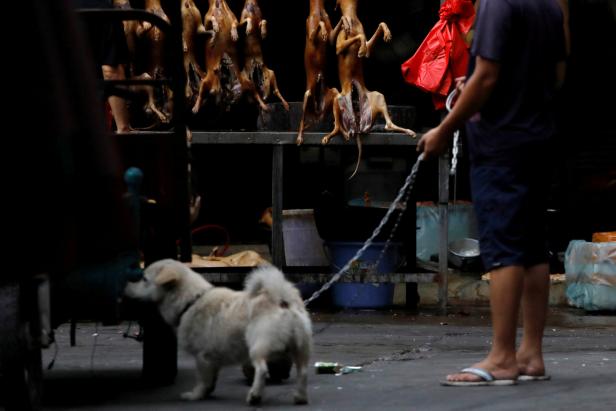 Wo das Kilo Hundefleisch 3,60 Euro kostet