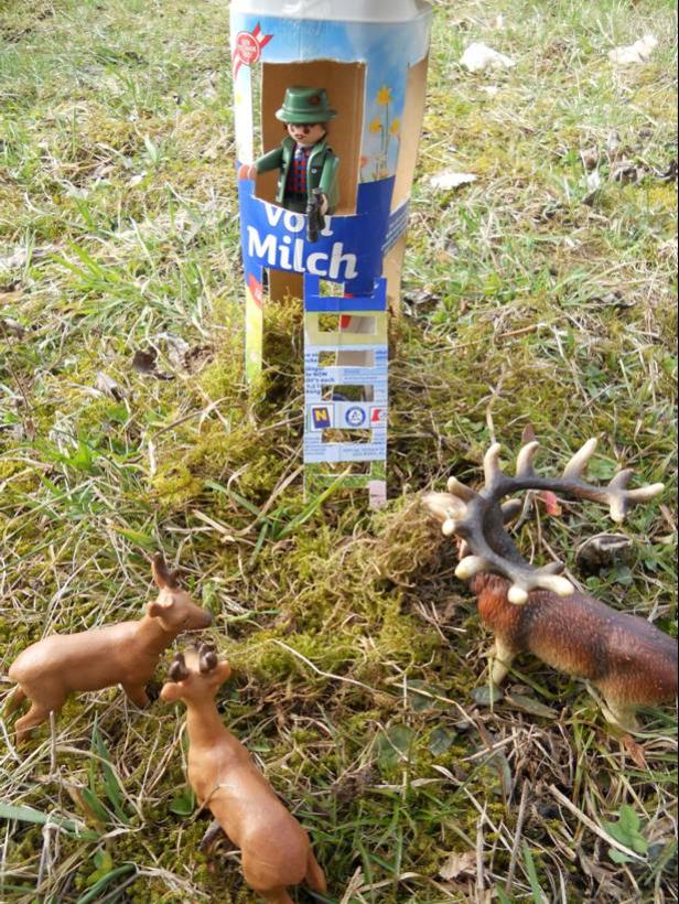 Die besten Einsendungen für "Getränkekarton und Umwelt"
