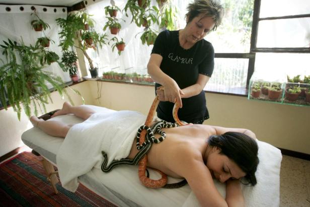 Elefanten-Massage & Bierbad