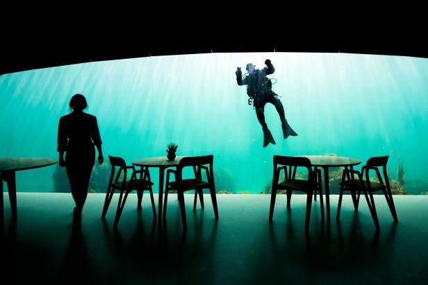 Sterneregen: Unterwasser-Restaurant Under mit einem Stern ausgezeichnet