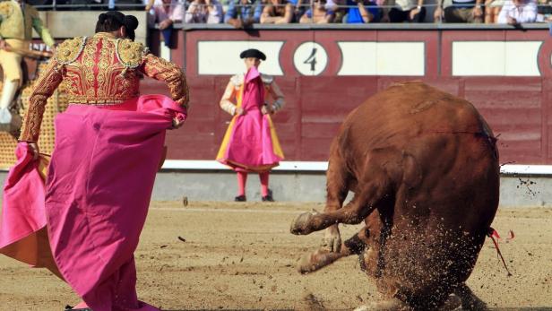SPAIN BULLFIGHTING Erstmals seit 31 Jahren: Torero in Spanien von Stier getötet