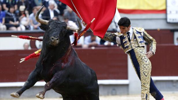 SPAIN BULLFIGHTING Erstmals seit 31 Jahren: Torero in Spanien von Stier getötet