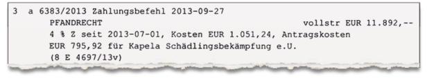 … Ein Ausschnitt eines Zahlungsbefehls aus dem Jahr 2013 über 11.892 EUR Pfandrecht.