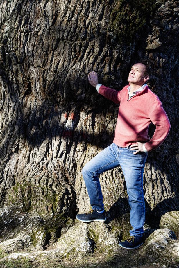 Österreichs ältester Baum: Besuch bei der "Dicken Oachen"