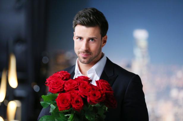 Regelbruch & Drama beim "Bachelor"-Finale: Wem Niko Griesert die letzte Rose gibt