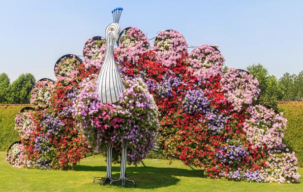 Gärten der Welt: Blütenpracht zwischen New York und Dubai