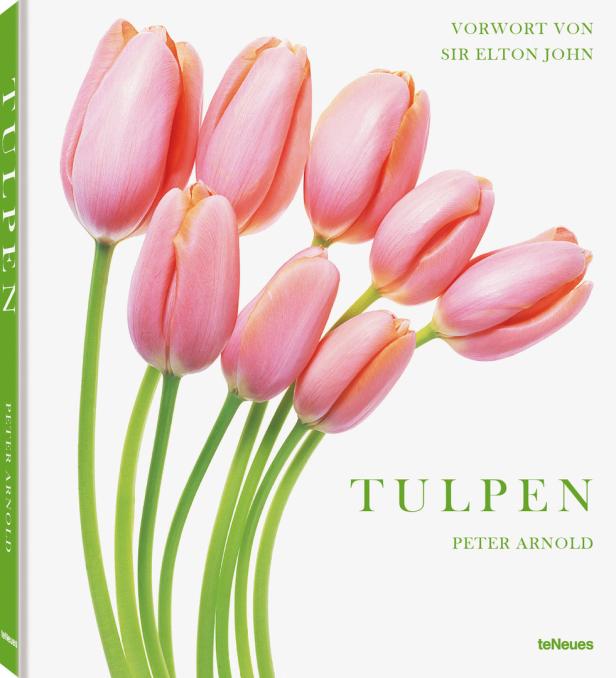 Ein kostbarer Kelch aus Wien: Die Geschichte der Tulpe