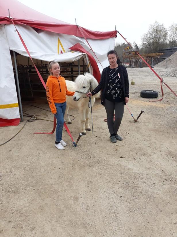 „Manege unfrei“: Zirkusse gestrandet