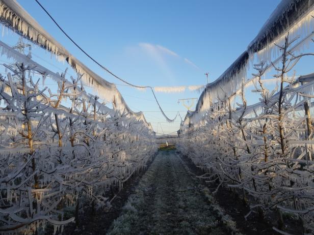 Zur Wochenmitte wird es spätwinterlich