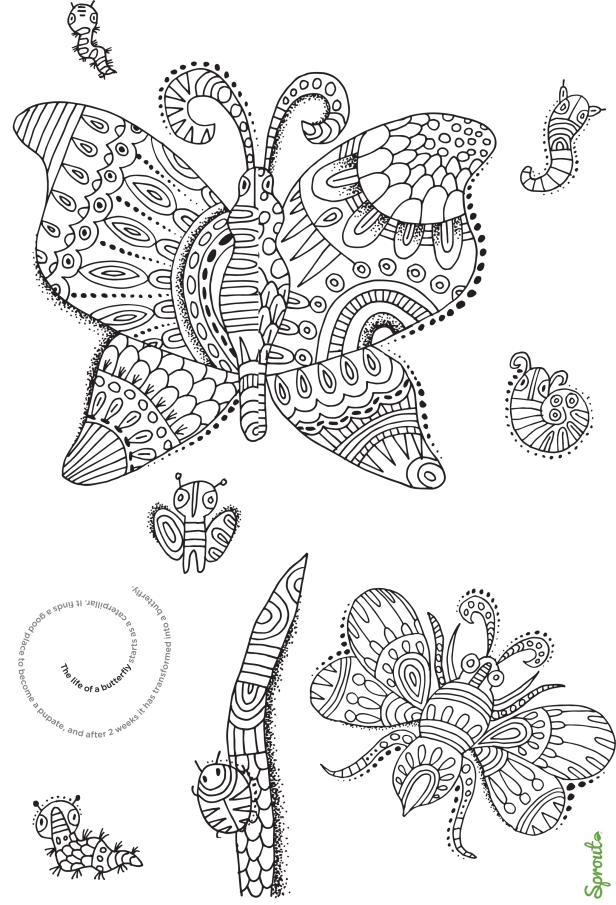 colorbook_a4_3.jpg