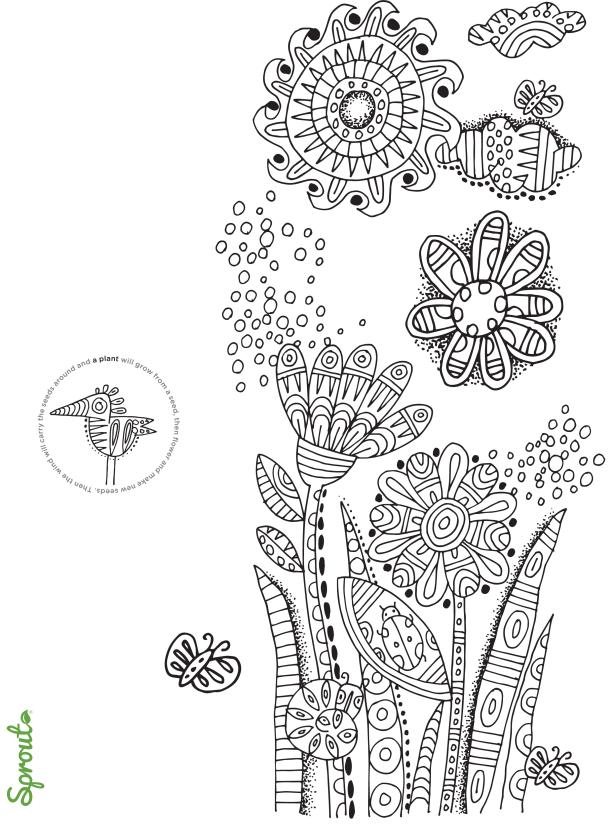 colorbook_a4_1.jpg