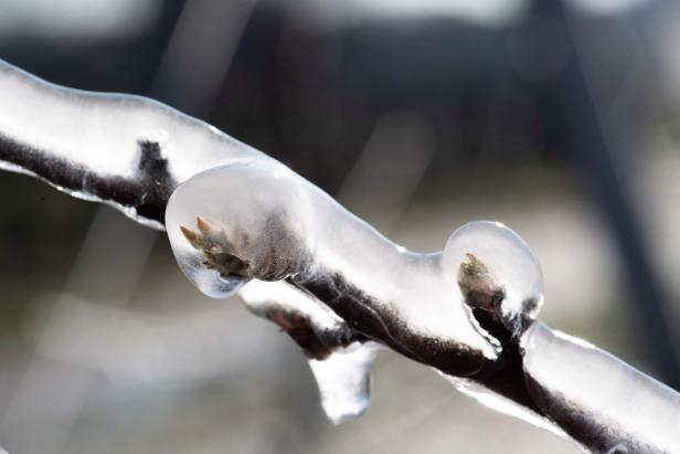 GERMANY-WEATHER-AGRICULTURE