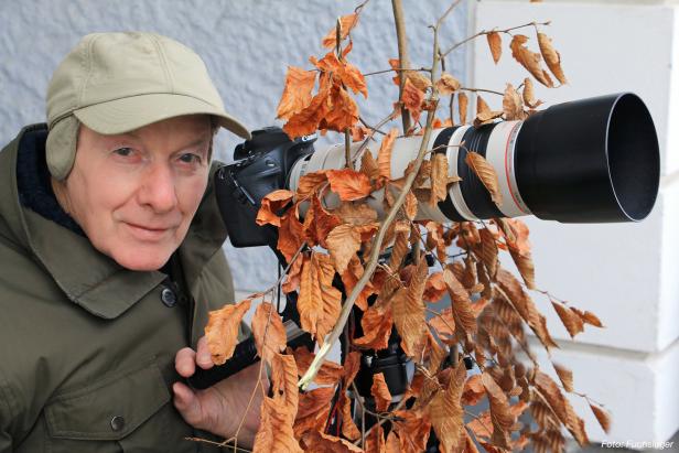 Bergfink mit weißem Kopf als tolle Trophäe für 83-jährigen Fotografen