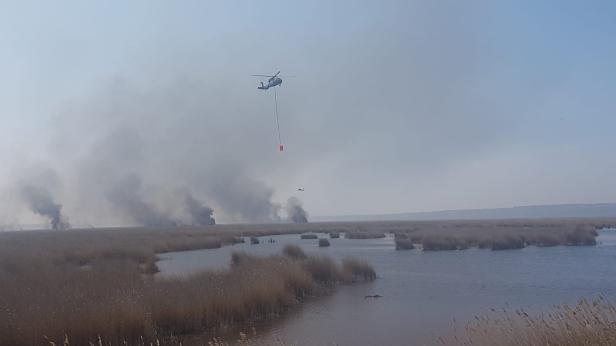 "Brand aus" in Illmitz: Hubschrauber waren im Einsatz