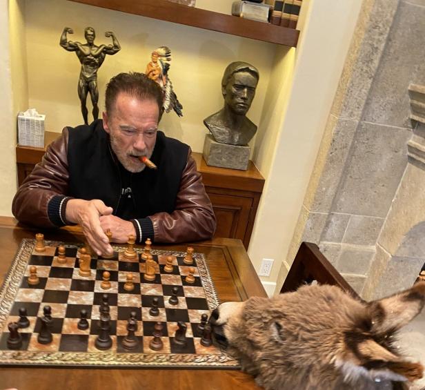 Dank Virus ein Hit: Schwarzenegger macht Schach zum Spiel des Jahres