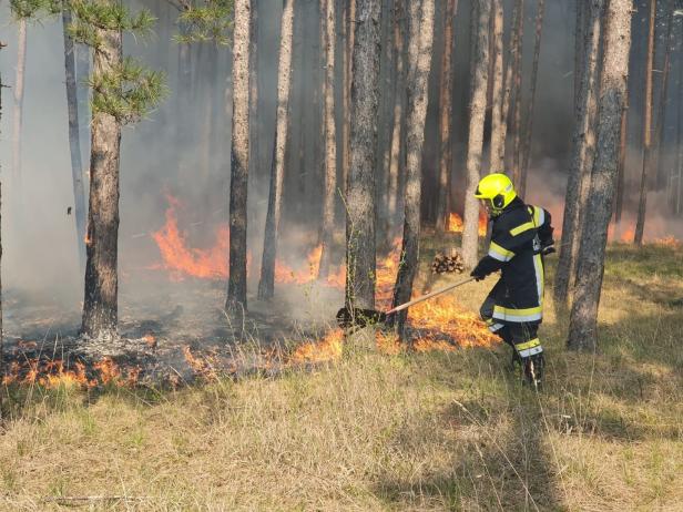 Hunderte Helfer kämpfen gegen großen Waldbrand bei Wiener Neustadt