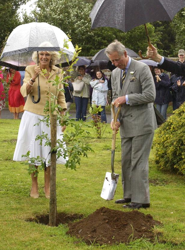 Liebe mit Hindernissen: Charles und Camilla feiern 15. Hochzeitstag