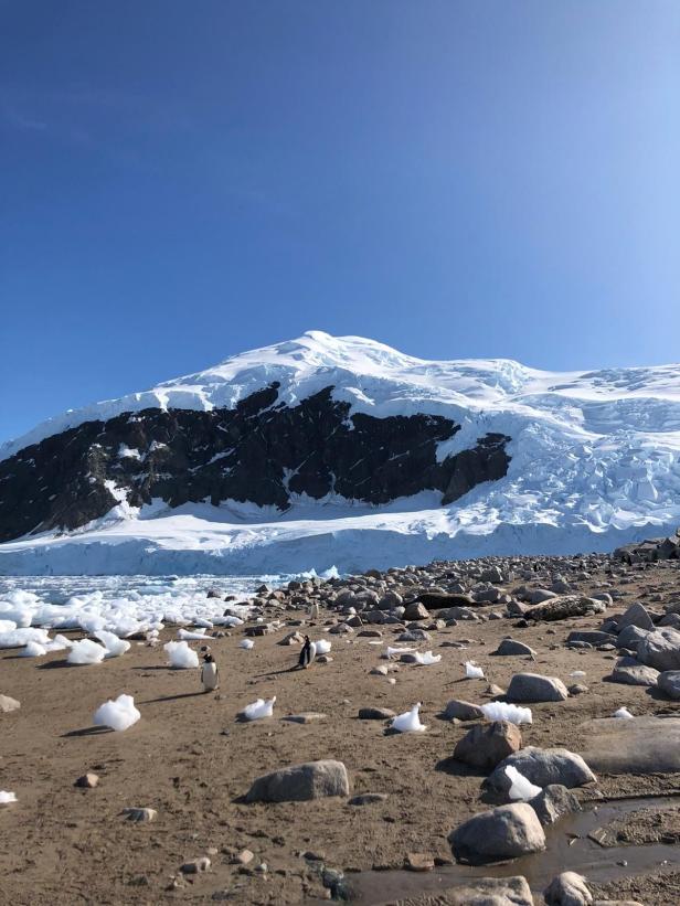 Expedition Antarktis: Mit der Omi am Ende der Welt