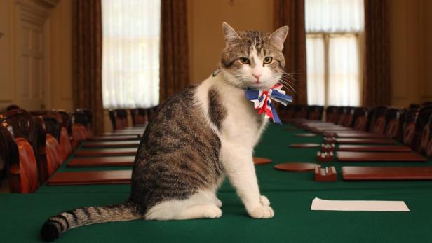 Kater Larry: Chief Mouser to the Cabinet Office