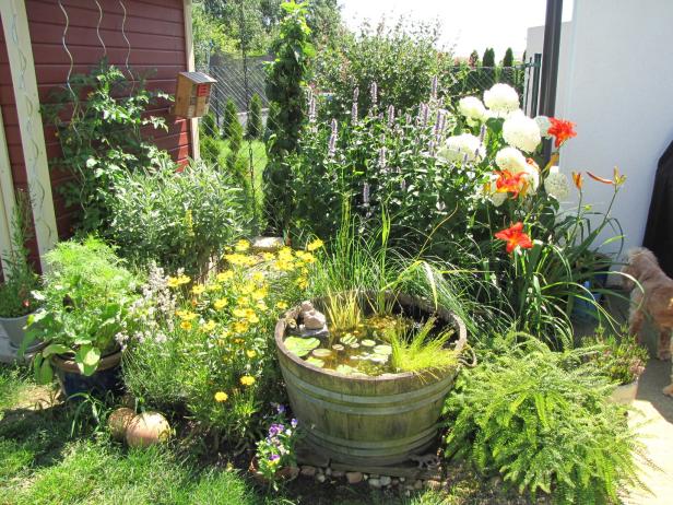 Sieben einfache Tipps für den perfekten Garten