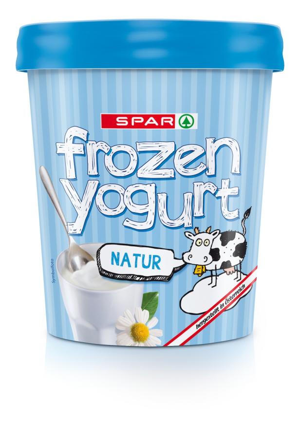 Frozen Yoghurt selbstgemacht