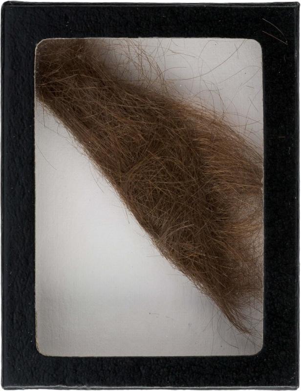 Vom Corona-Cut zum "Gammler": Kurioses Wissen über Haare