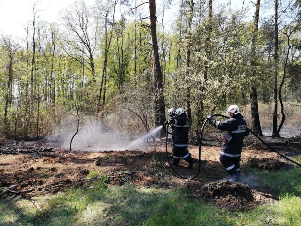 Anhaltende Trockenheit mit Folgen im Burgenland