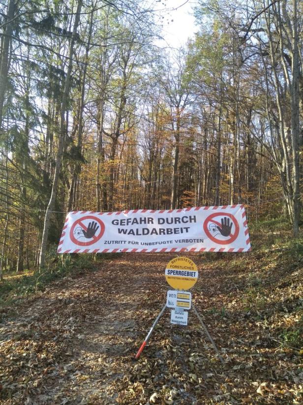 Bundesforste warnen vor tödlicher Gefahr im Wienerwald