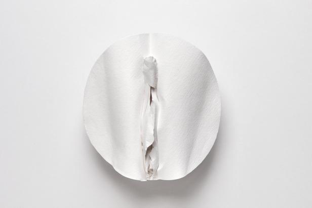 Eine abstrakte Darstellung in Weiß, die an eine Blüte oder organische Form erinnert.