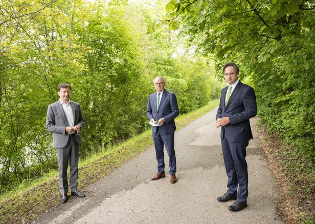 Borkenkäfer-Schaden: Holz muss aus dem Wald