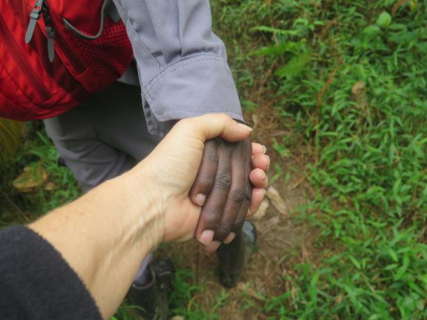 Uganda: Hautnah mit den Gorillas im Dschungel