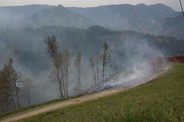 Waldbrände in Kärnten langsam unter Kontrolle