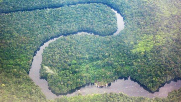 Hofer im Amazonas (2/2)